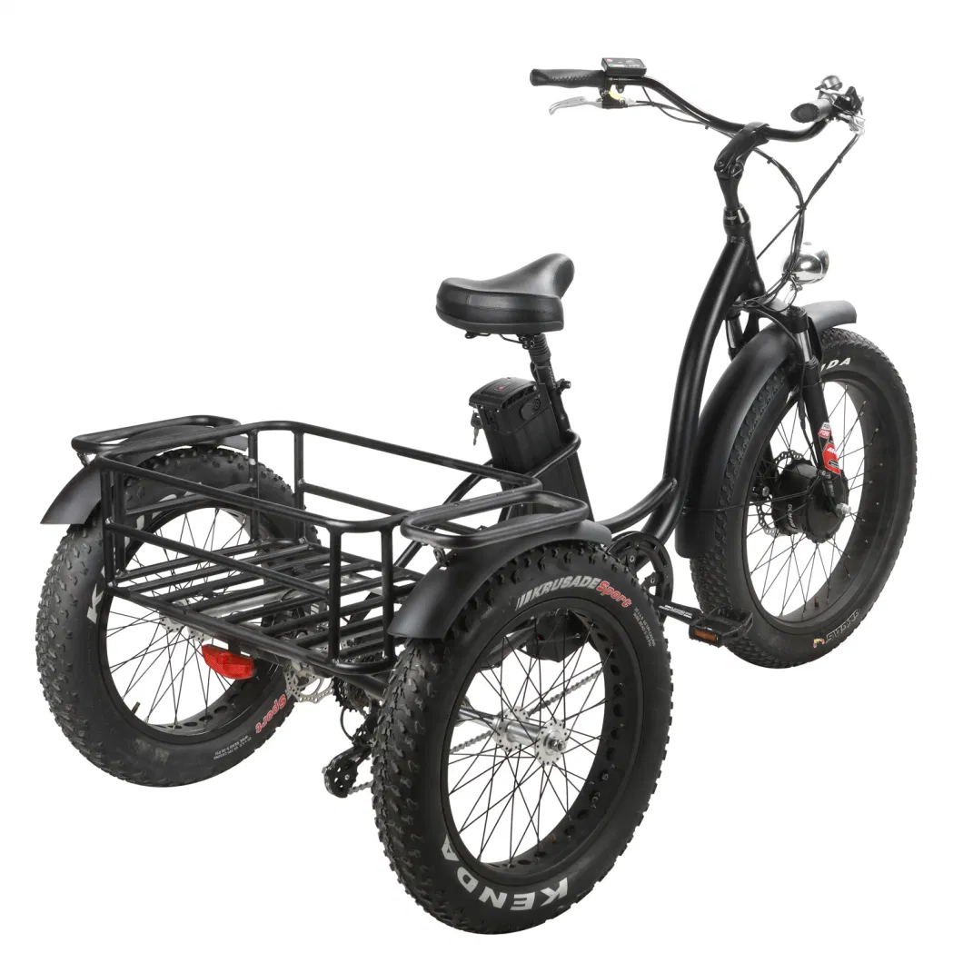 48V 500W/750W Fat Tire 3 Wheel Cargo Electric Tricycle