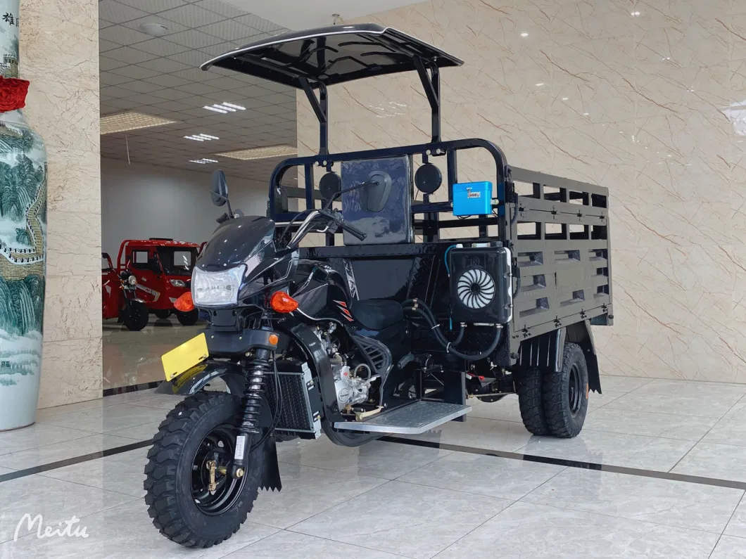 Chinese Manufacturers Sell Dump Freight Three Wheels Motorcycle Fuel Oil Gasoline Motorized Tricycle for Cargo