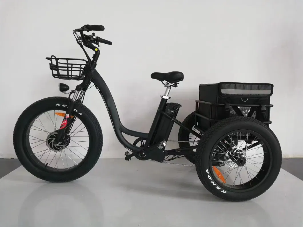 Adult Cargo Electric Tricycle Equipped with 500W Bafang Motor 12.8ah Battery