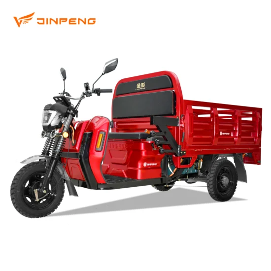 Triciclo elétrico inteligente 60V/72V 1000W Motor diferencial Trike de 3 rodas para passageiros e transportadores de carga