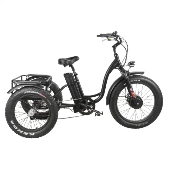 Bicicleta elétrica de carga de três rodas 48V500W Motor de cubo dianteiro Triciclo elétrico 20 polegadas 4.0 Triciclo de pneu gordo com cesta