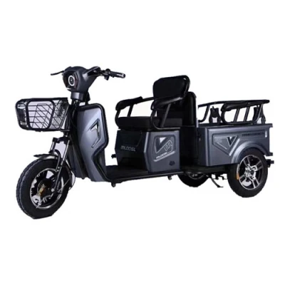 Triciclo elétrico de passageiro 48V 500W