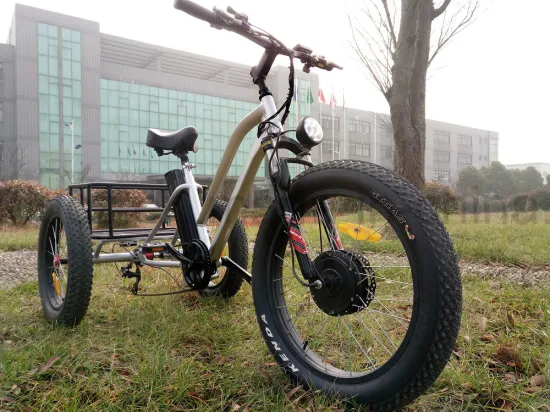 Carga de triciclo elétrico com pneu gordo de três rodas para Beach Cruiser